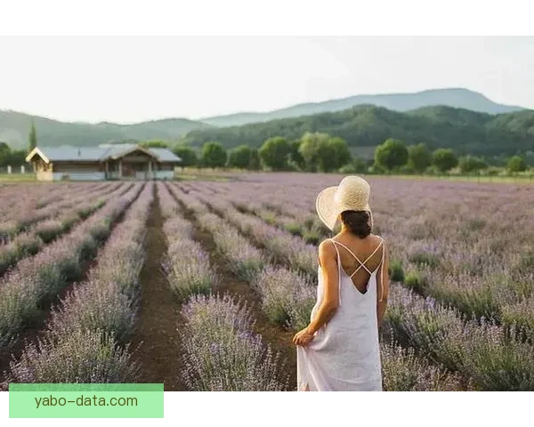 拉拉维亚谈全勤目标 能保持健康是最大的能力